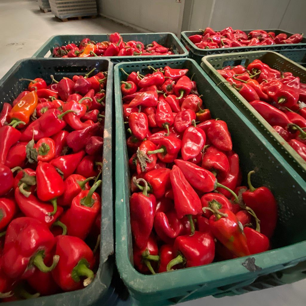 Piquillos con salsa de tomate eco